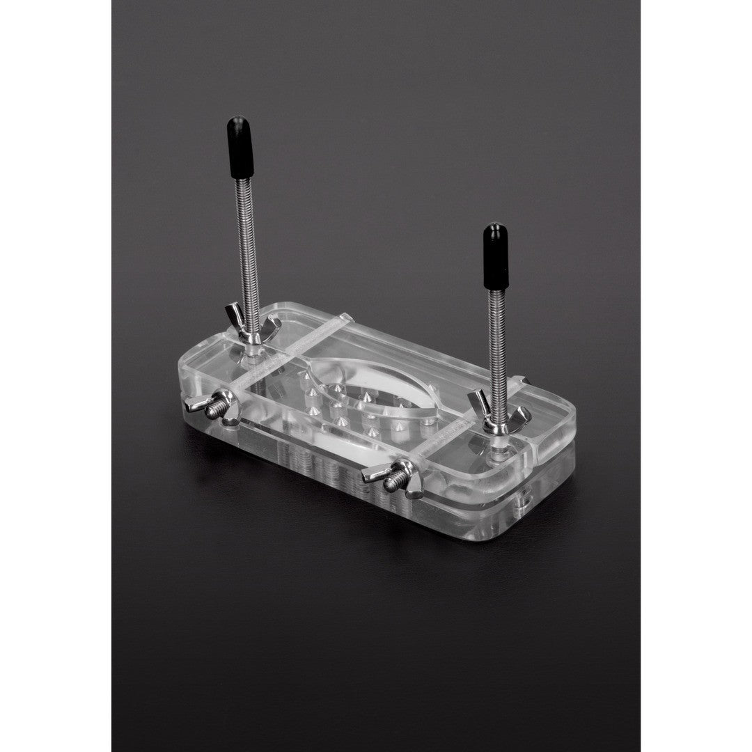 Hodenpresse aus Acryl mit Spikes Transparent