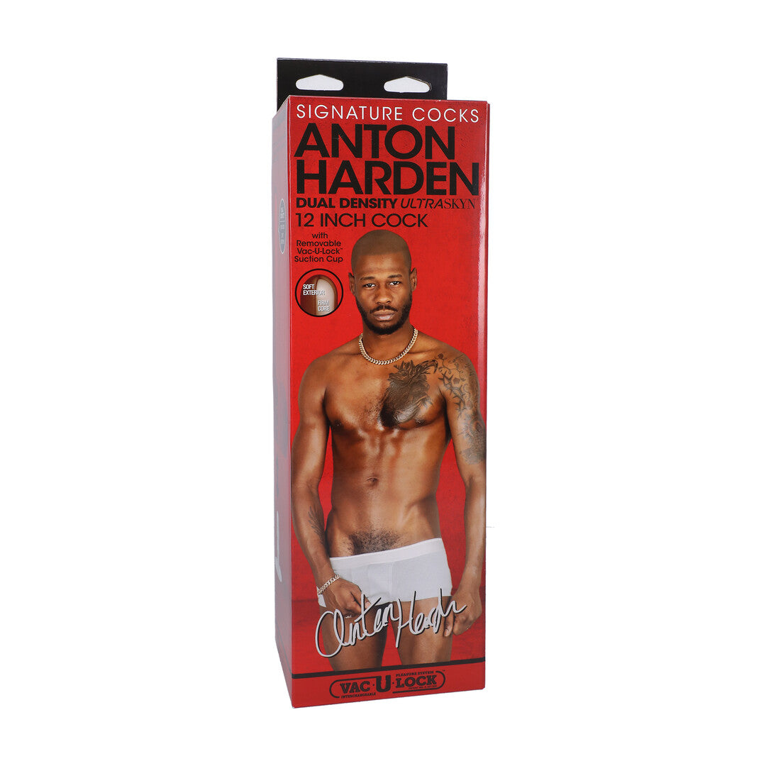 Realistischer Dildo Anton Harden Braun 24,8 x Ø 5,1 cm