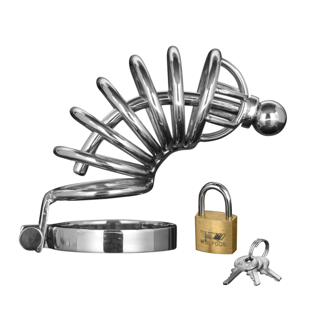 Peniskäfig Asylum mit 6 Ringen Silber
