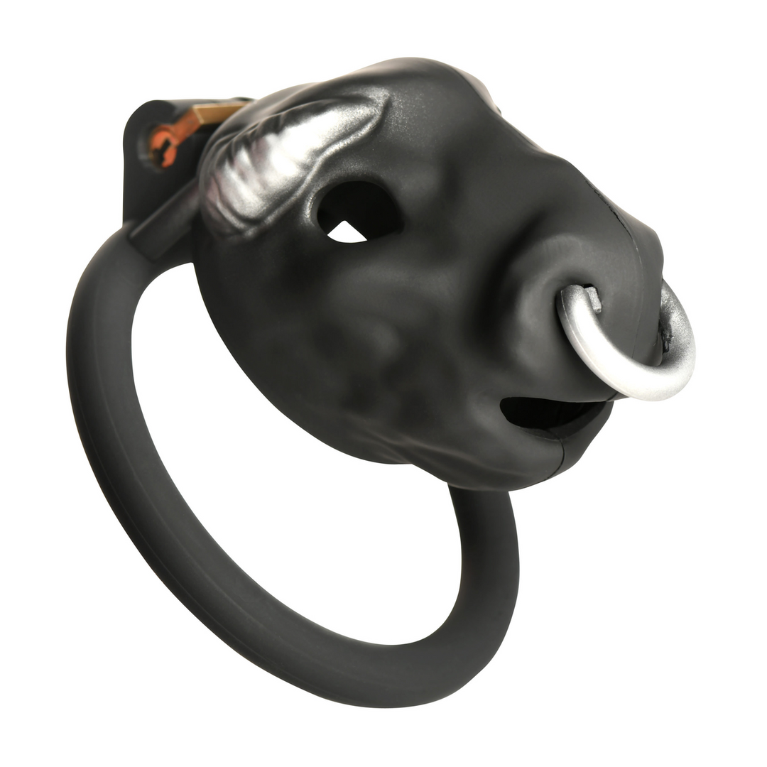 Peniskäfig Bull Schwarz