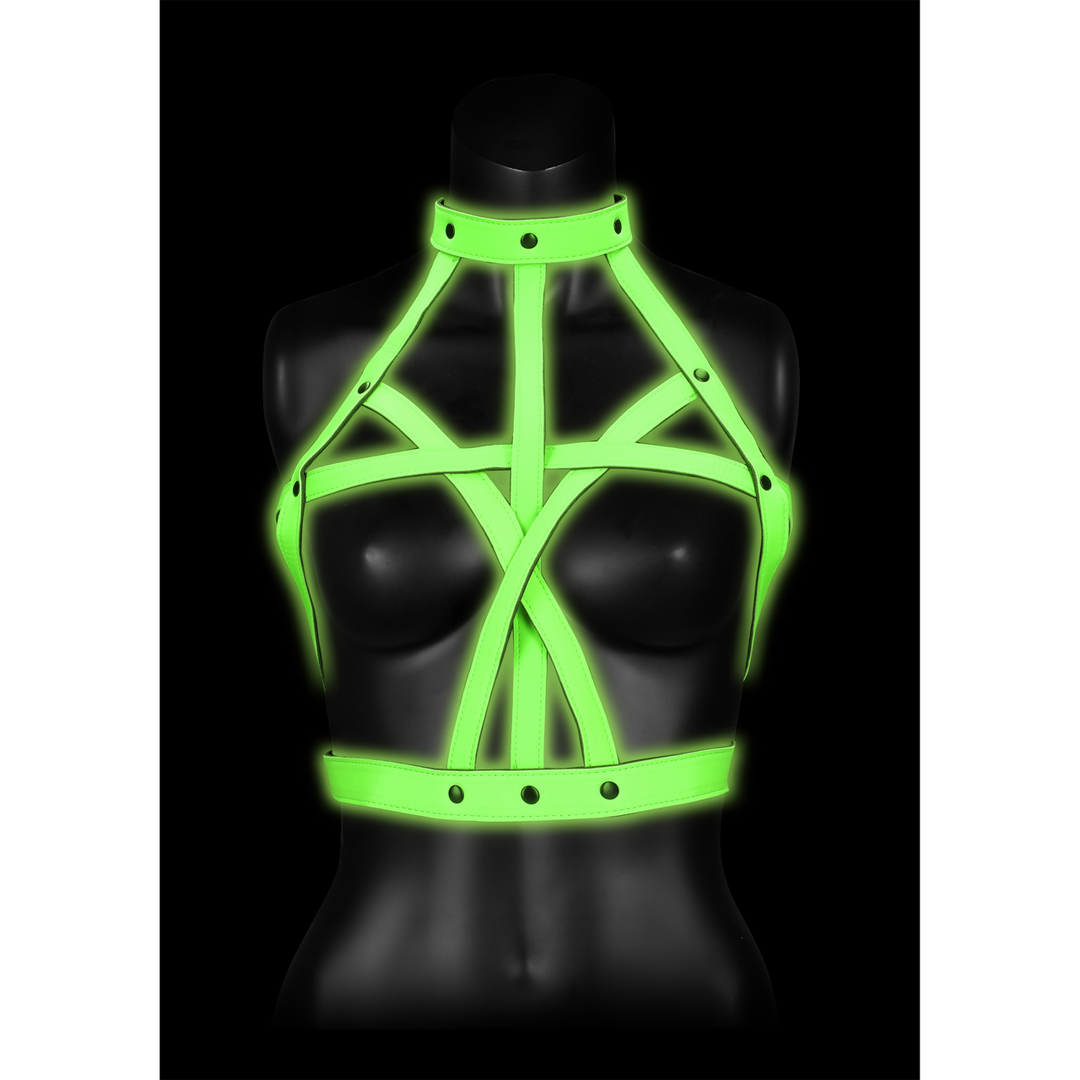 BH-Harness nachtleuchtend Grün L/XL