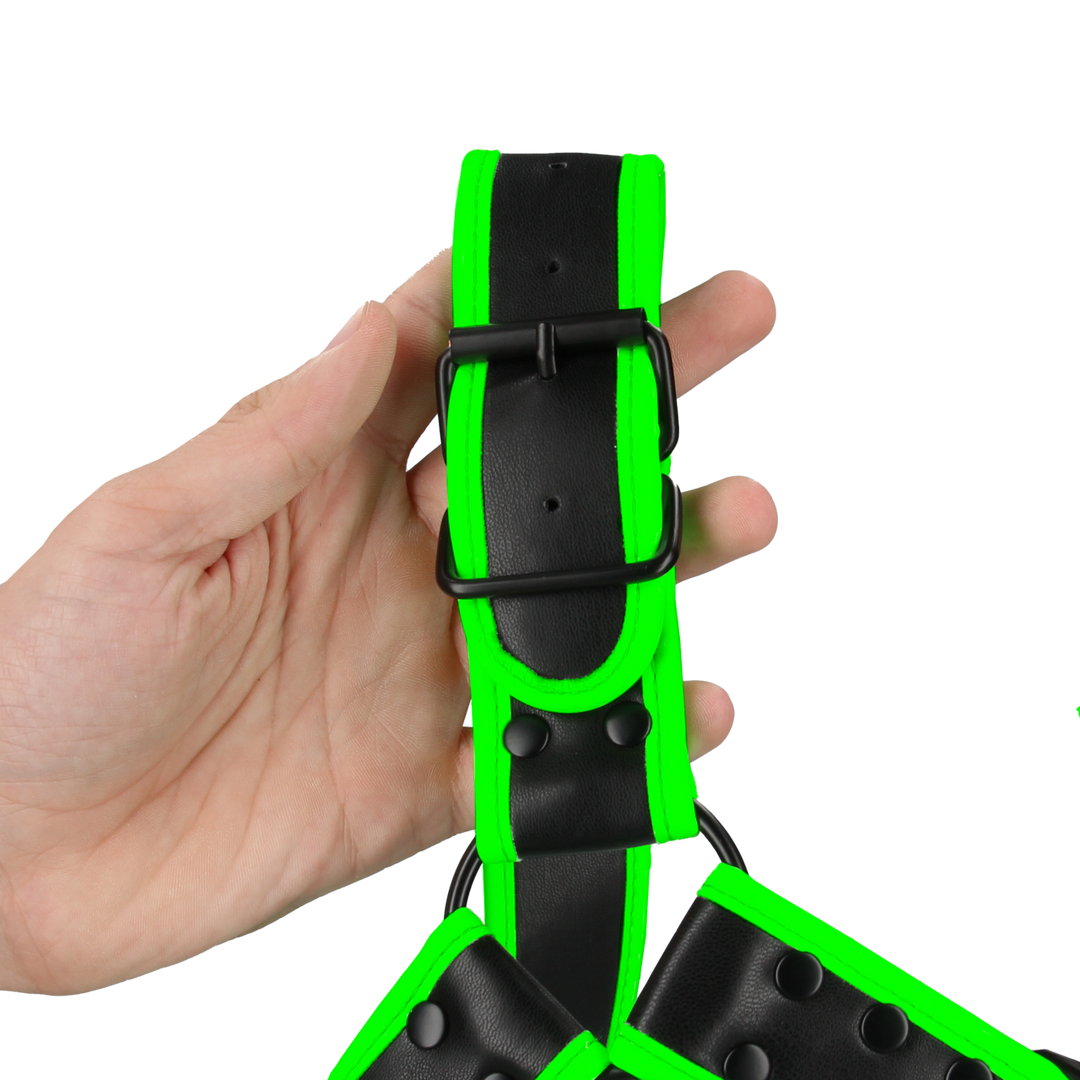 Harness Bulldog mit Schnalle nachtleuchtend Grün L/XL