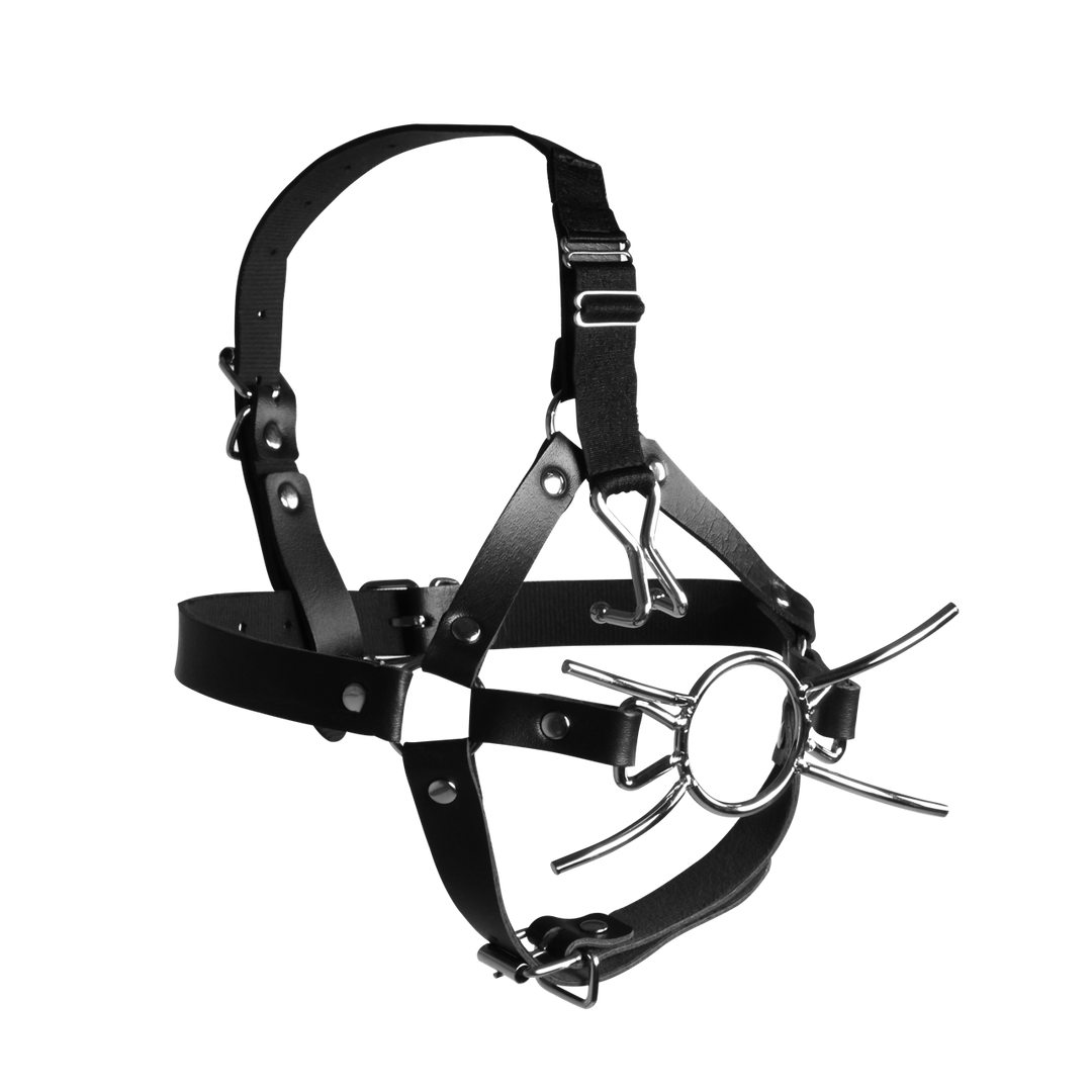 Kopfharness mit Spider-Gag und Nasenhaken Schwarz 70 x Ø 4,4 cm