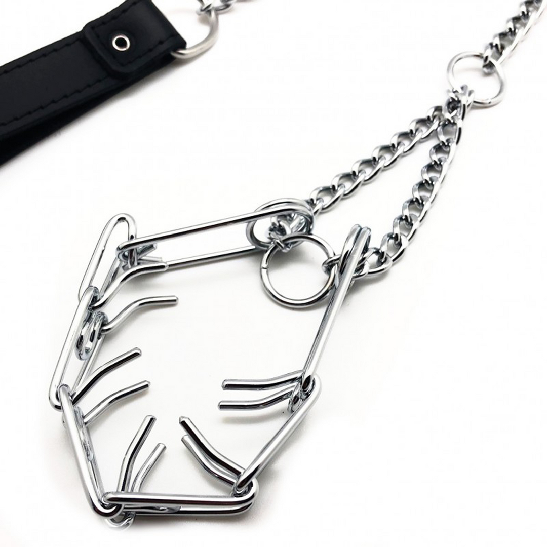 Leine mit Halsband für den Penis Schwarz/Silber