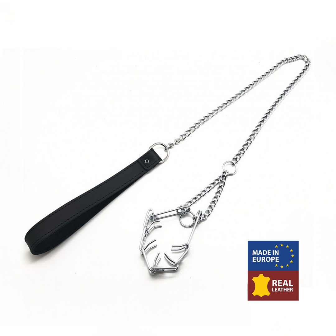 Leine mit Halsband für den Penis Schwarz/Silber