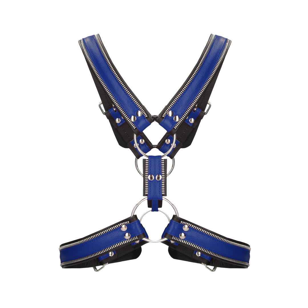 Harness im Schottland-Stil Blau