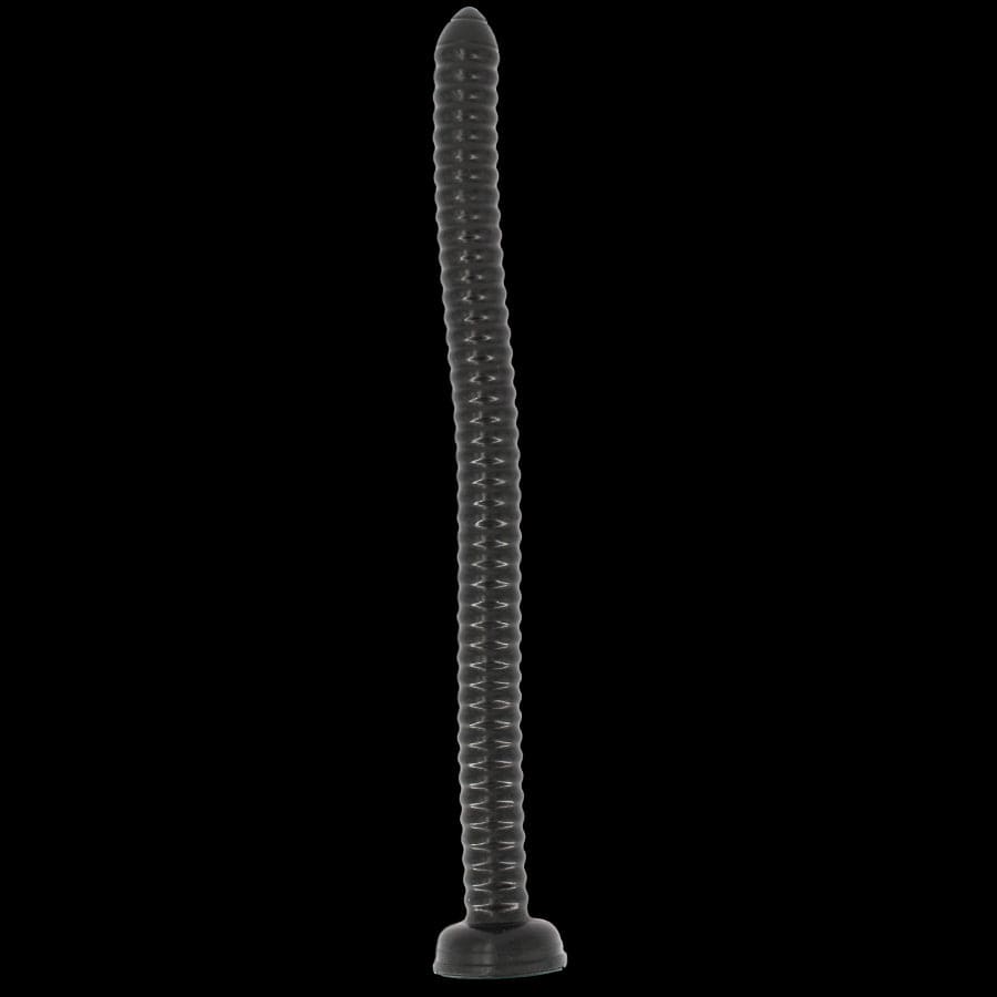 Analkette Barosaurus 46 x 3,2 cm