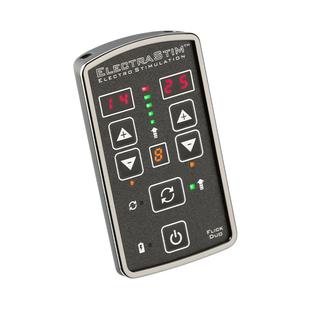 ElectraStim Flick Duo Steuereinheit