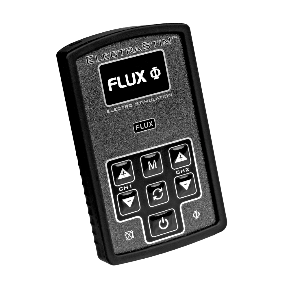 ElectraStim FLUX Steuereinheit