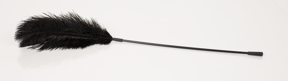 Feder klassisch schwarz