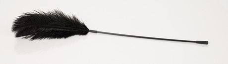 Feder klassisch schwarz