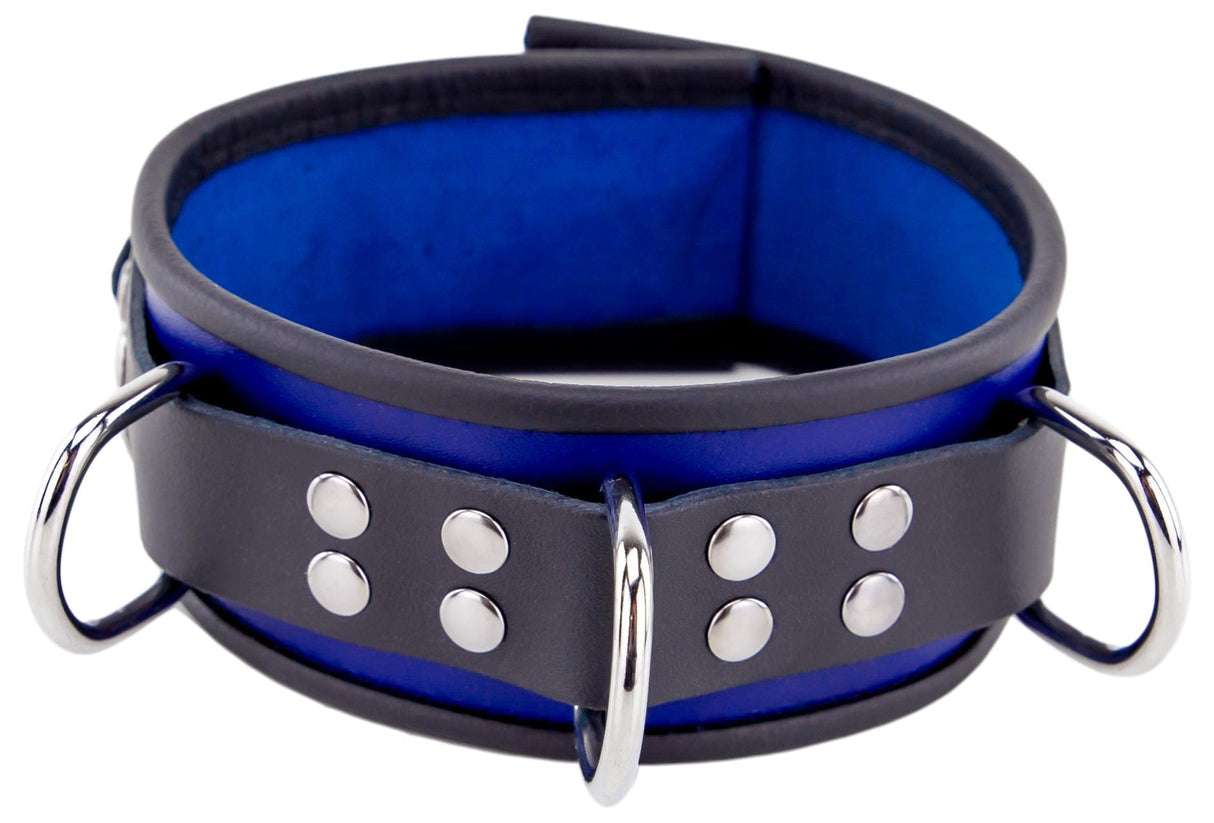 Halsband 3 D-Ring Blau