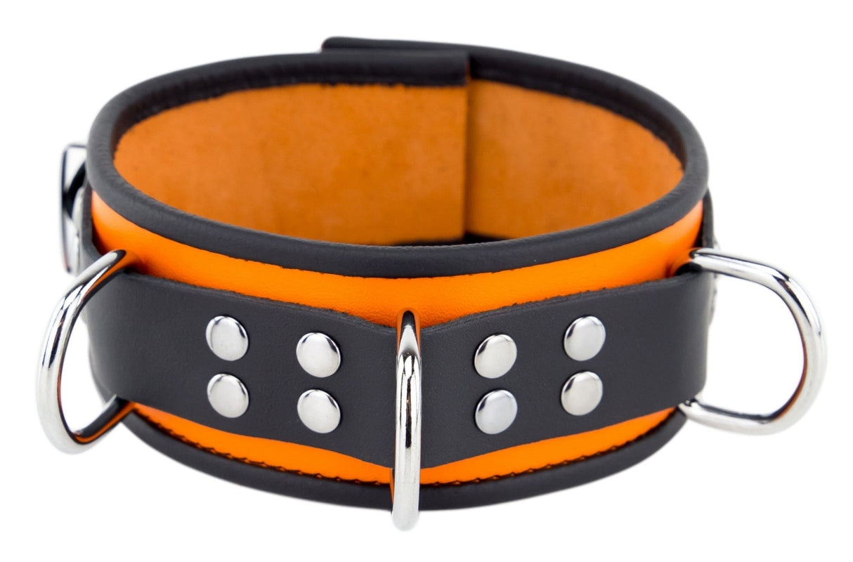 Halsband 3 D-Ring Orange