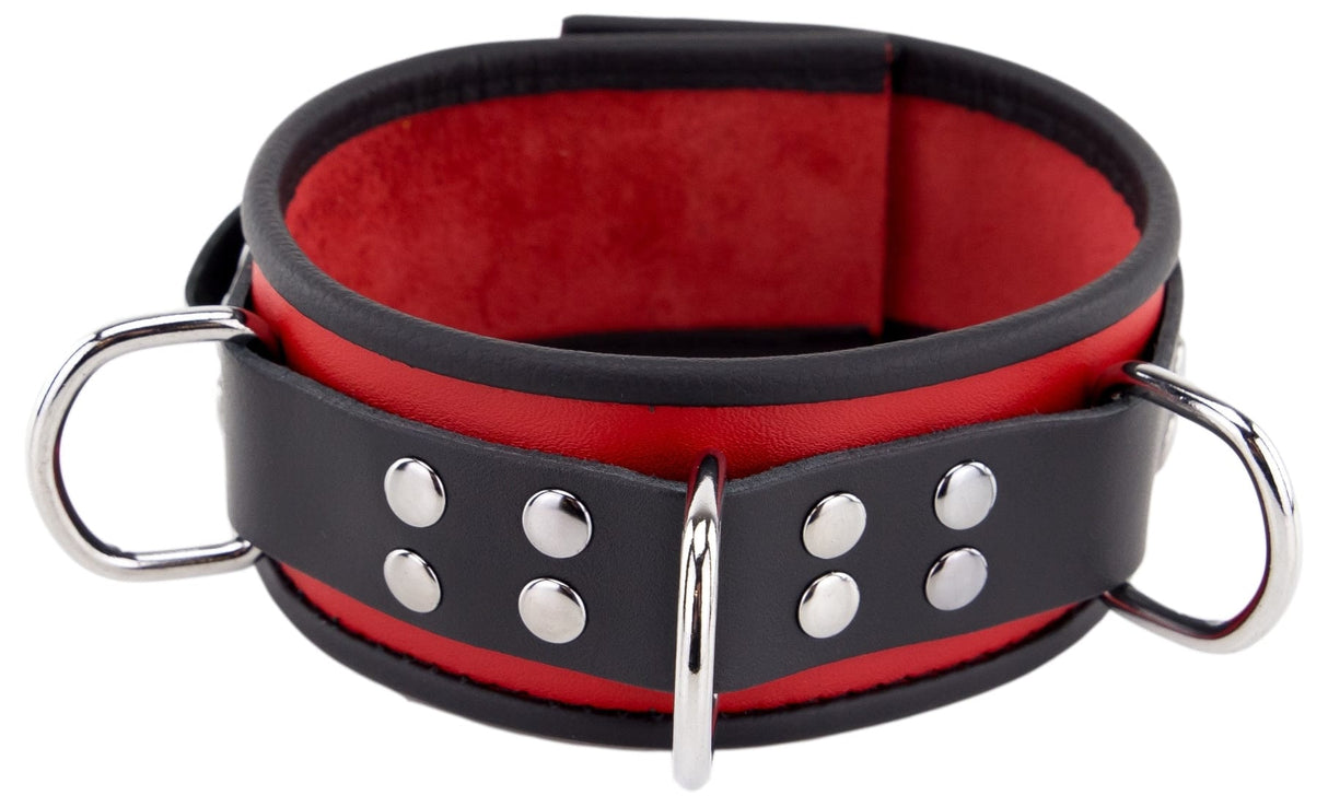 Halsband 3 D-Ring Rot