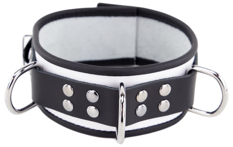 Halsband 3 D-Ring Weiß