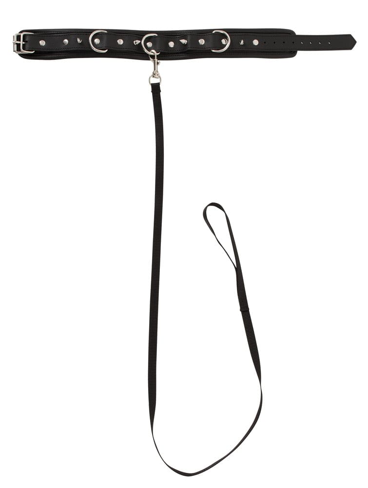 Halsband mit Spikes und Leine