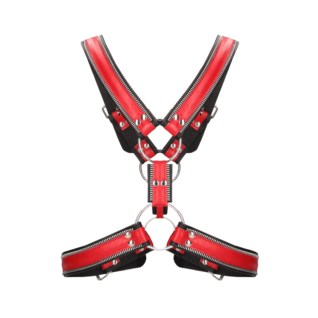 Harness Ouch aus echtem Leder im Streifen-Design in drei Ausführungen – Ansicht 6