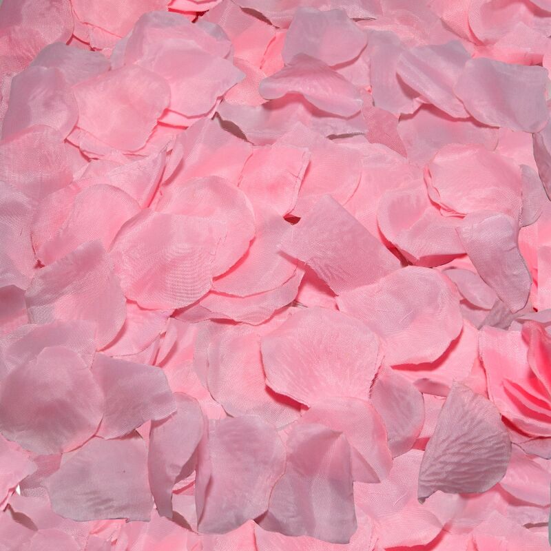 Diablo Picante - 100 Rosa Blütenbltter