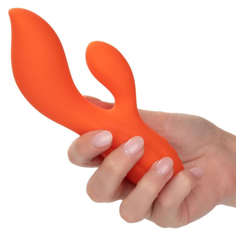 Calexotics - Stella Dual Teaser Orange
