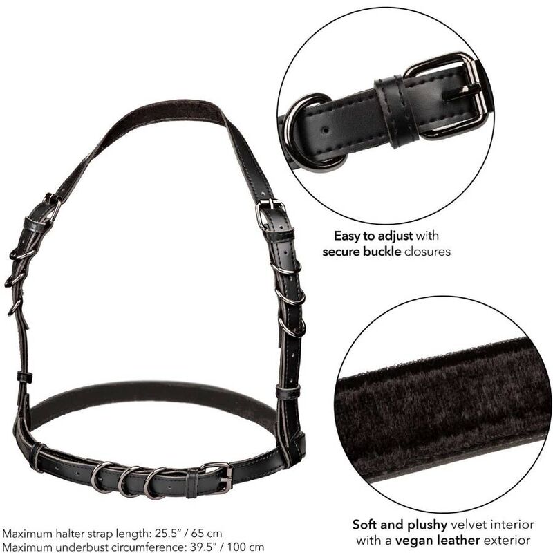 Calexotics - Euphoria Halfterschnallengeschirr Schwarz