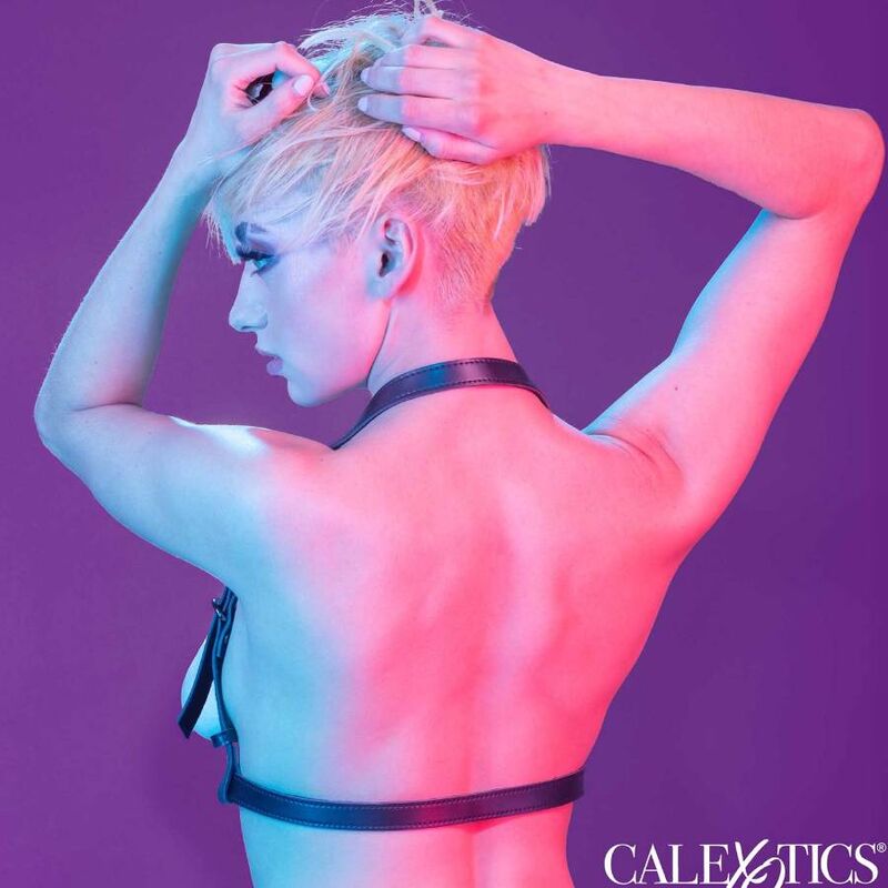 Calexotics - Euphoria Halfterschnallengeschirr Schwarz