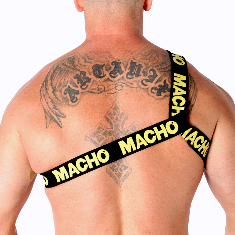 Macho - Römisches Geschirr Gelb L/XL