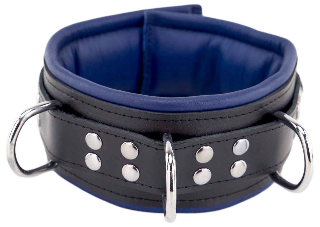 Lederhalsband gepolstert Blau