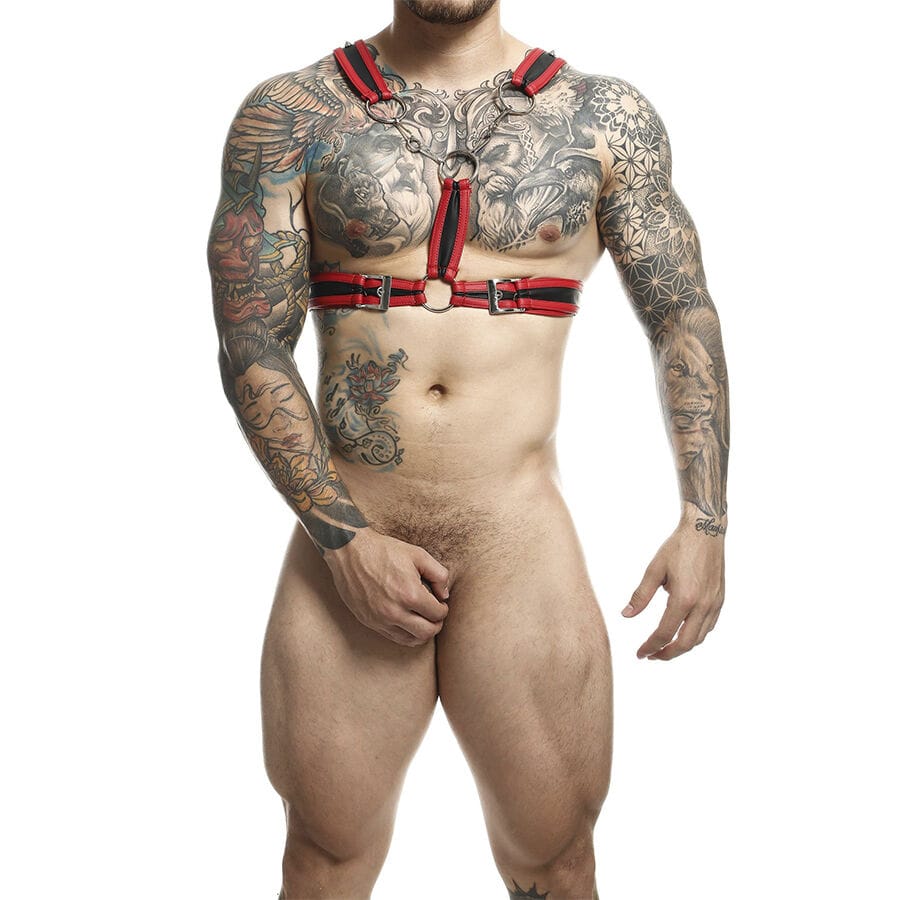 Strap-on Dngeon Rotes Harness mit Ketten Eine