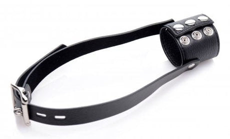 Mundknebel Hodensauger