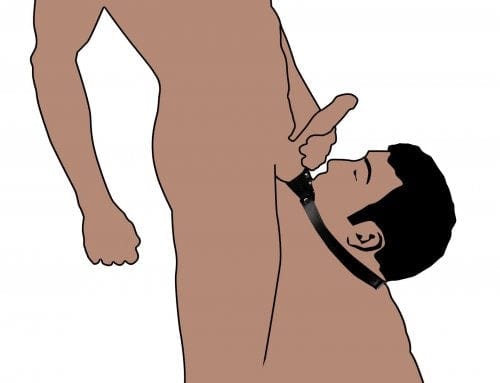 Mundknebel Hodensauger