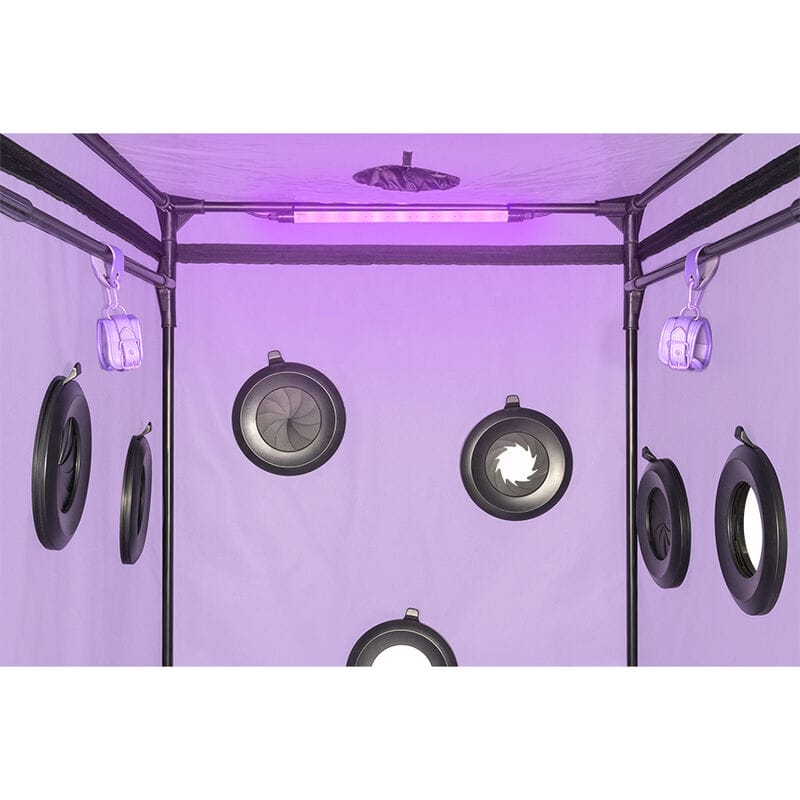 Fetisch-Toy Kink Club Cabin Scandale Lila.18