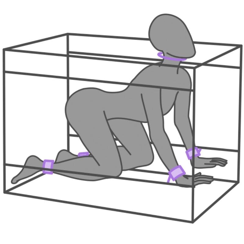 Fetisch-Toy Kink Club la Niche Cabin Lila.3