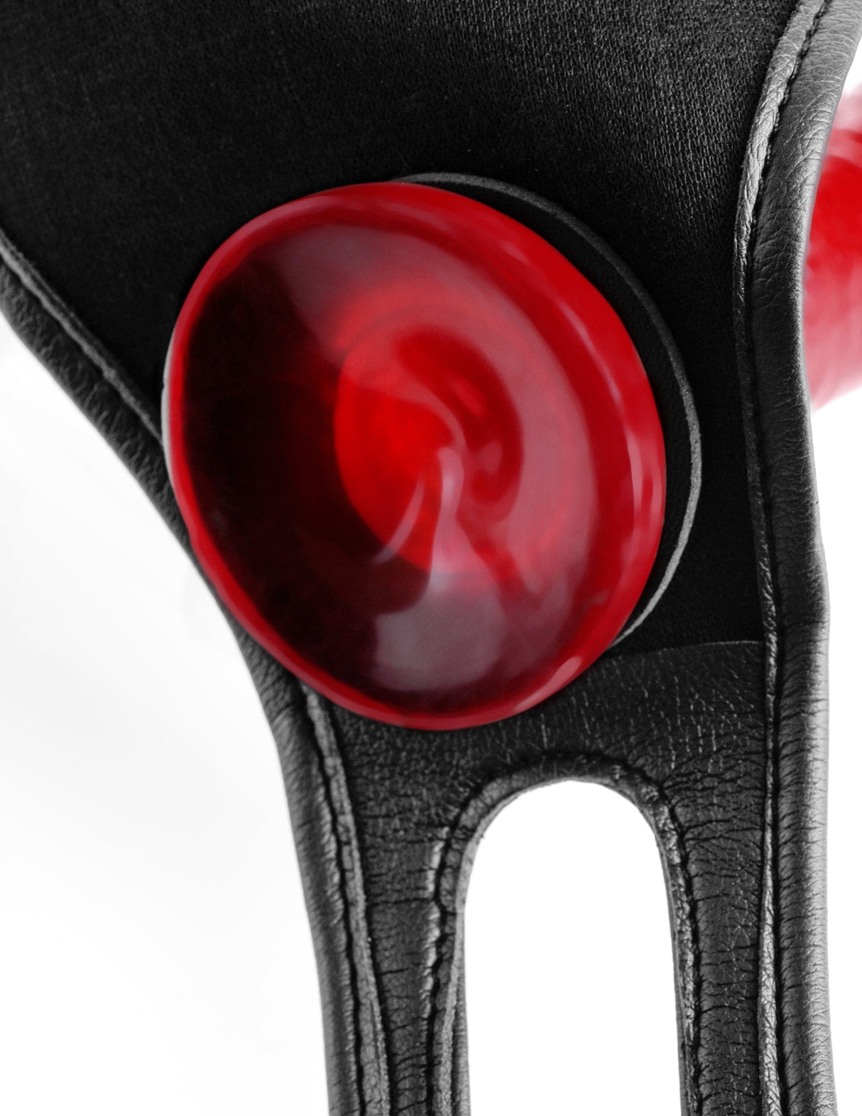 Strap-On Geschirr Vinyl