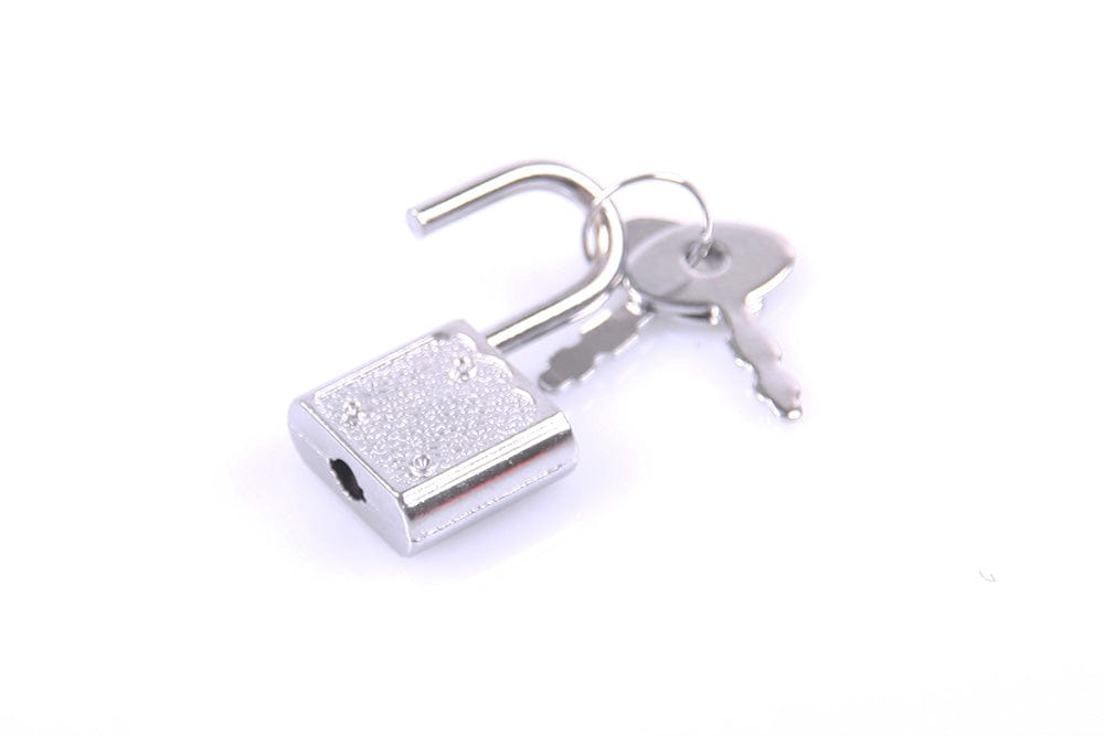 Vorhängeschlösser Set