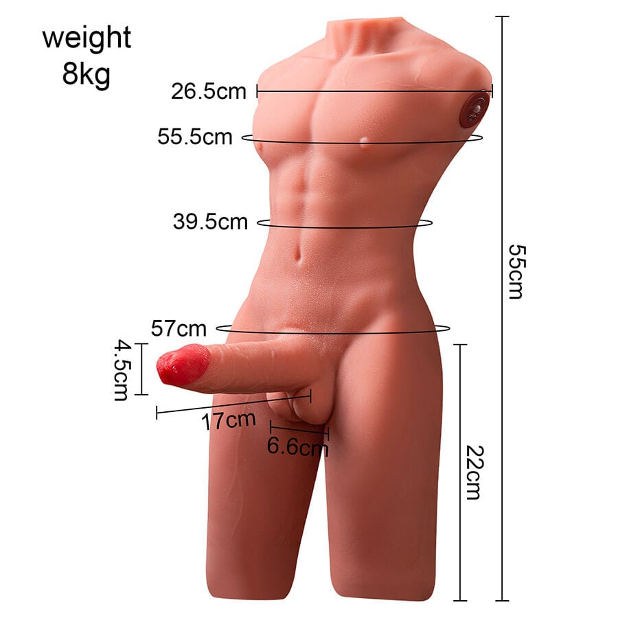 Liebespuppe Jason Halbkörper Realistischer Männlicher Torso mit Stoss- und.6