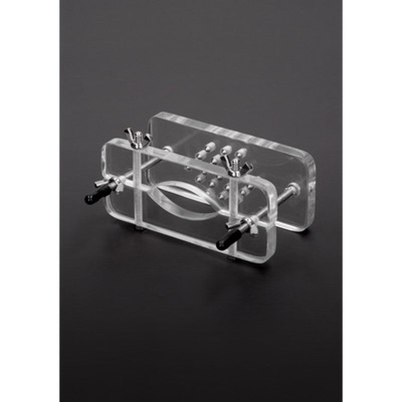 Hodenpresse aus Acryl mit Spikes Transparent