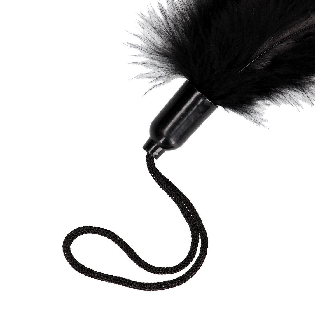 Federkitzler klein Schwarz