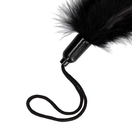 Federkitzler klein Schwarz