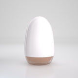 Masturbator-Ei Ezy Egg The Skilled