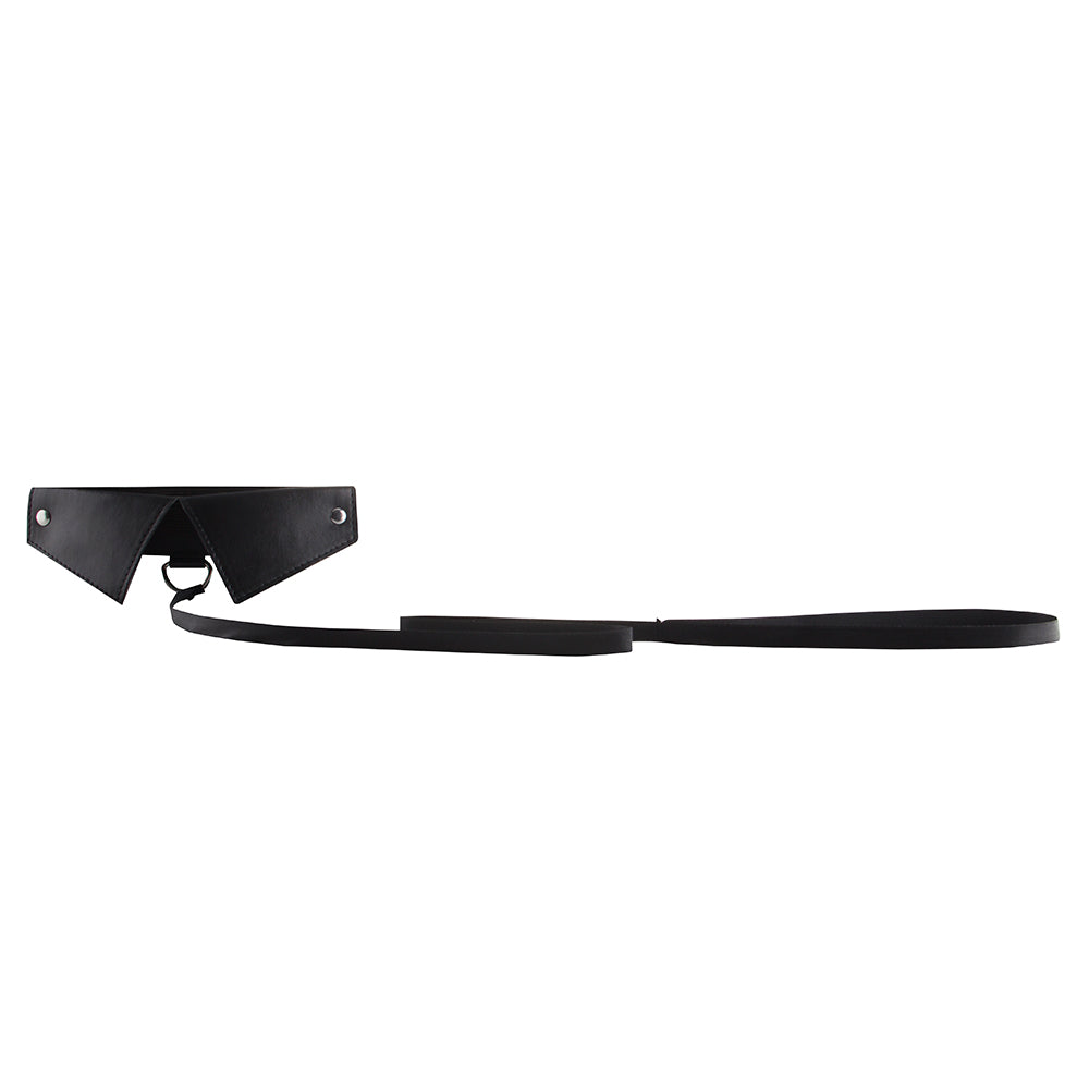 Halsband mit Leine Schwarz