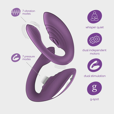Vibrator Pleasuriser mit Akku, Fernbedienung und Gleitgel 50 ml Lila