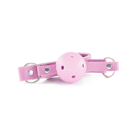 Fesselset Dungeons & Maidens Pink