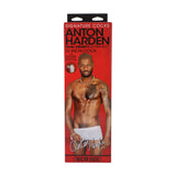 Realistischer Dildo Anton Harden Braun 24,8 x Ø 5,1 cm