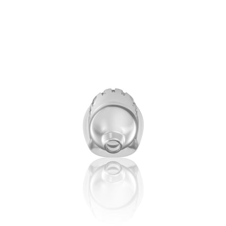 Peniskäfig Model 29 aus TPE Transparent