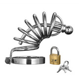 Peniskäfig Asylum mit 6 Ringen Silber