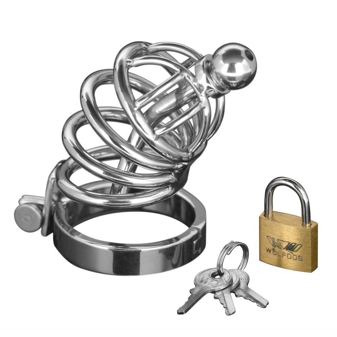 Peniskäfig Asylum mit 6 Ringen Silber