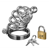 Peniskäfig Asylum mit 6 Ringen Silber