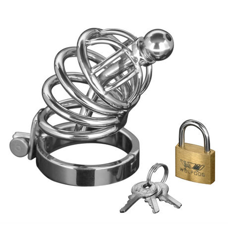 Peniskäfig Asylum mit 6 Ringen Silber