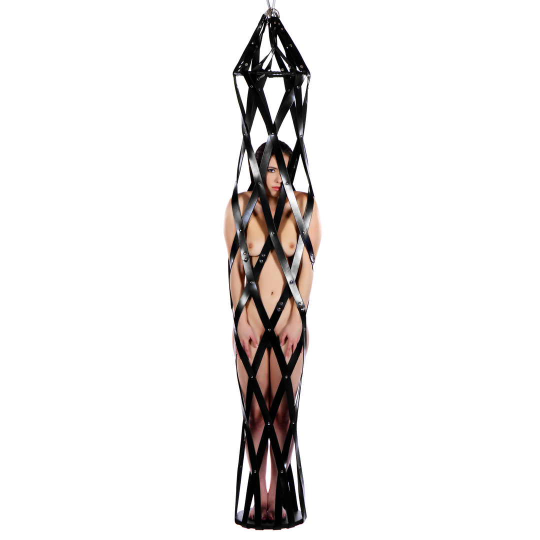 Peniskäfig aus Leder hängend Schwarz 190,5 cm