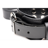 Bettfessel-Set aus Leder Schwarz
